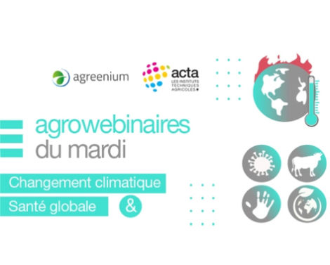 Les Agrowebinaires du mardi : changement climatique et santé globale