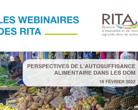 Webinaire RITA – « Perspectives de l’autosuffisance alimentaire dans les DOM »