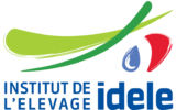 New logo idele IMP 1