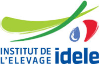 New logo idele IMP 1