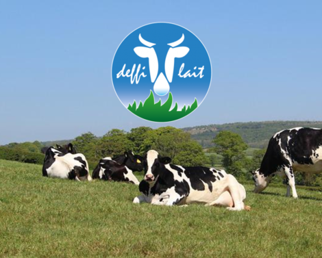 Des stratégies améliorant l’efficience alimentaire des vaches laitières