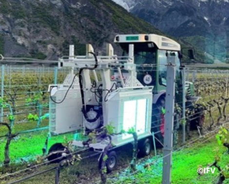 Solution innovante en protection des cultures en serres et au champ contre l’oïdium par l’utilisation de lampe à rayonnement UV
