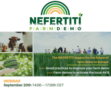 « L’héritage de Nefertiti pour l’avenir de la démonstration agricole en Europe » : webinaire final