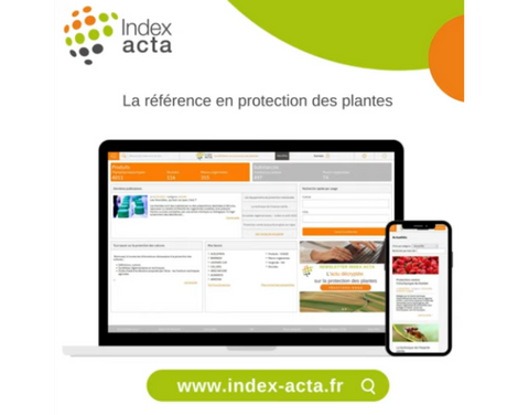 Webinaire de découverte et prise en main du site web Index acta