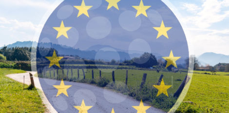 [FR/EN] 2 new Horizon Europe projects at the crossroads of Digital and Agroecology