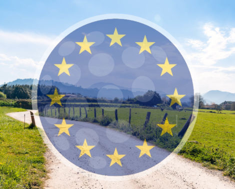 [FR/EN] 2 nouveaux projets Horizon Europe à la croisée du Digital et de l’Agroécologie