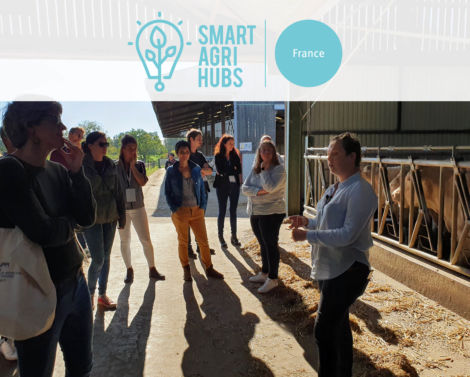 [FR/EN] Finish-line for the SmartAgriHubs project
