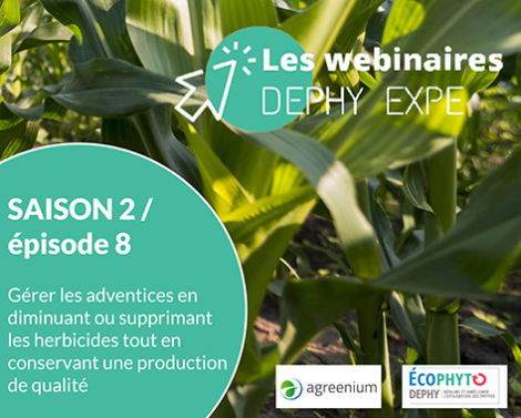 Webinaire DEPHY EXPE : Conserver une production de qualité tout en diminuant ou supprimant les herbicides