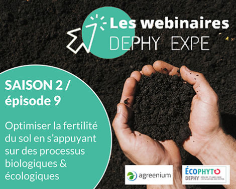 Webinaire DEPHY EXPE : Optimiser la fertilité du sol en s’appuyant sur des processus biologiques et écologiques