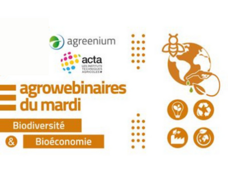 Les Agrowebinaires du mardi : biodiversité et bioéconomie