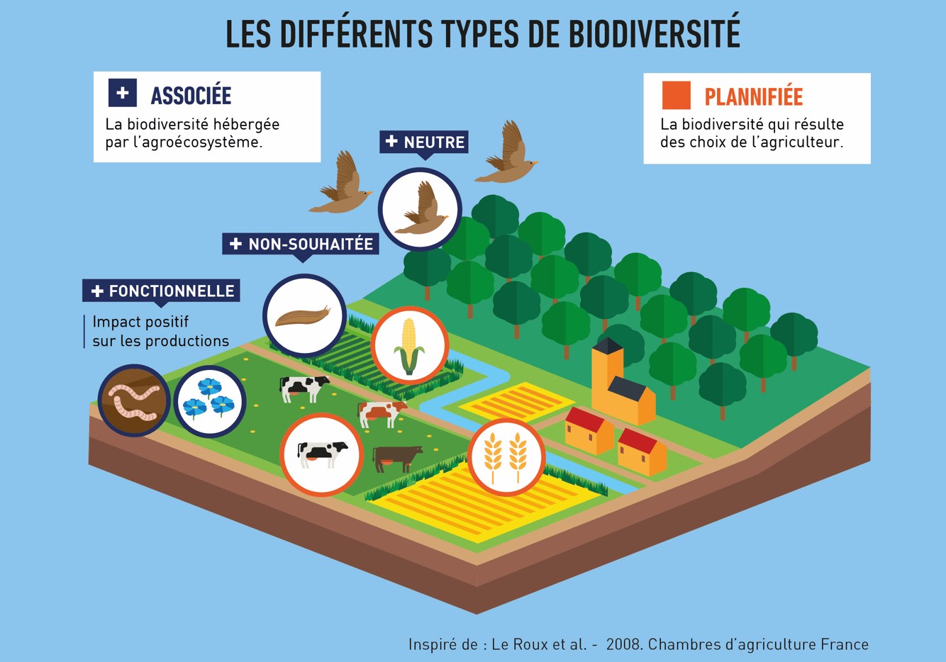 Différents types de biodiversité
