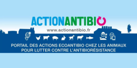 ActionAntiBio : pour lutter contre l’antibiorésistance chez les animaux