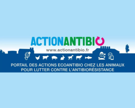 ActionAntiBio : pour lutter contre l’antibiorésistance chez les animaux