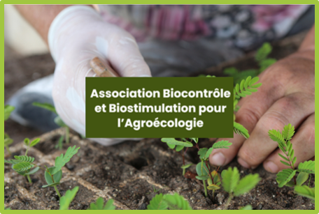 Création de l’Association Biocontrôle et Biostimulation pour l’Agroécologie