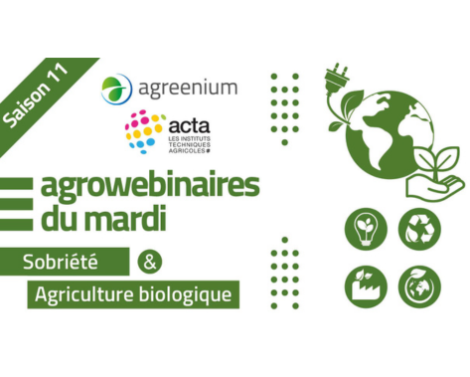 Les Agrowebinaires du mardi : sobriété et agriculture biologique