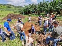 Évaluation de la fertilité des sols et formation sur le terrain en Guadeloupe, dans le cadre du projet SOLORGA©IT2