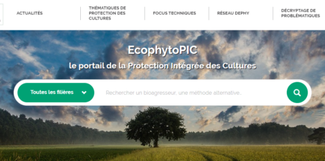 Stagiaire – Chargé/e d’étude impacts du portail web national sur la protection intégrée des cultures : EcophytoPIC
