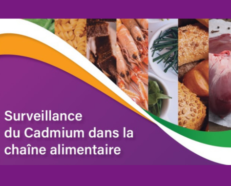 Le Cadmium Un l ment Surveiller Dans Toute La Cha ne Alimentaire Acta le-cadmium-un-l-ment-surveiller-dans-toute-la-cha-ne-alimentaire-acta