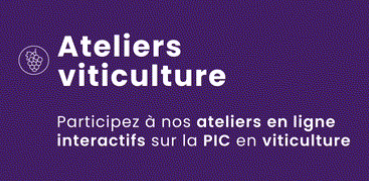 Ateliers PIC : tester les formations viticulture Digi-agro !