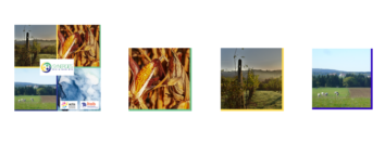 synergie bio non bio