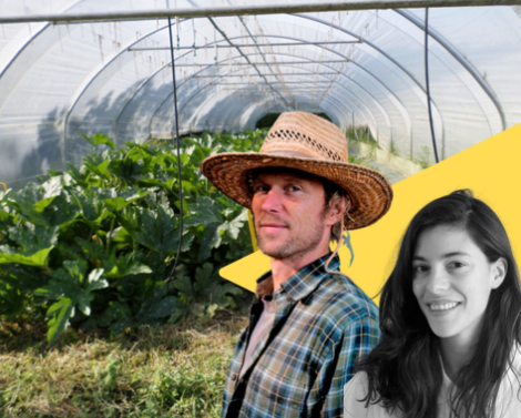 Tous les ingrédients pour réussir son projet de micro-maraîchage bio