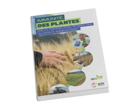 Immunité des plantes : un levier clé pour l’agroécologie