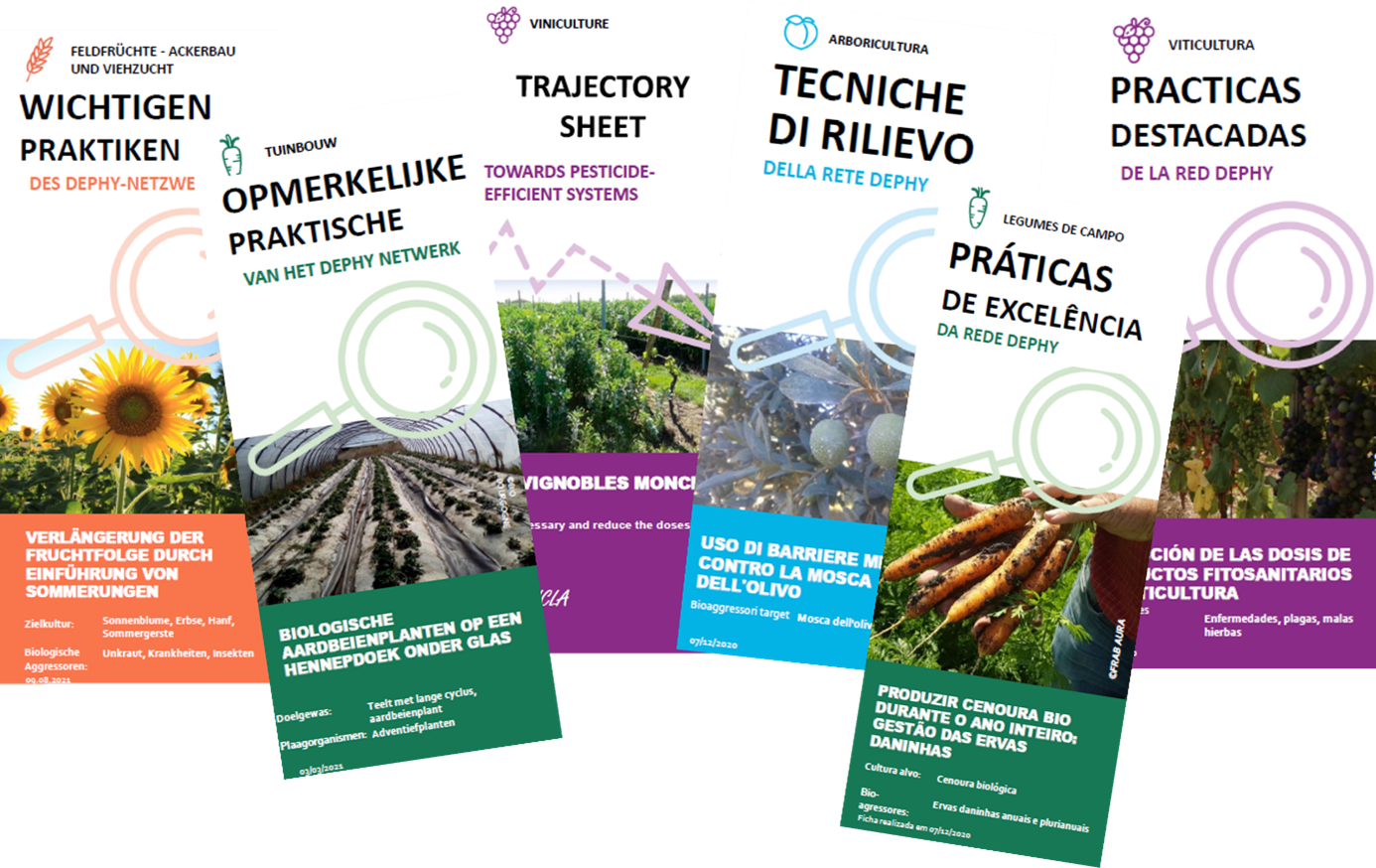 IMPWorks flyers