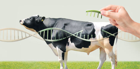 Développement de la génétique animale