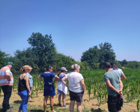 Formations des instituts techniques agricoles : innover, tester et transmettre notre expertise technique