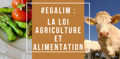 Loi EGALIM