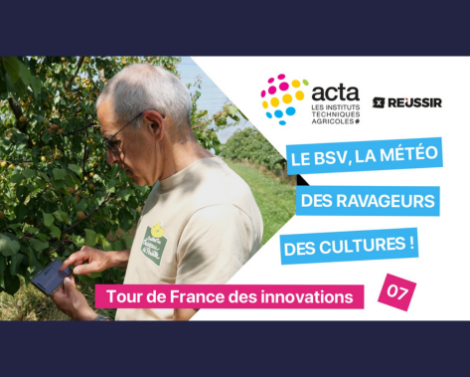 VIDÉO 7 « Tour de France des innovations » – BSV : quand l’observation collective aide les agriculteurs à anticiper les bioagresseurs