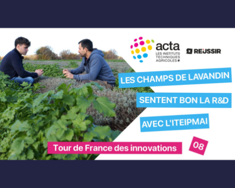 VIDÉO 8 « Tour de France des innovations » – Lavandin : les innovations de l’ITEPMAI pour renforcer la durabilité de la filière