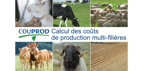 COUPROD logiciel de calcul des coûts de production en élevage