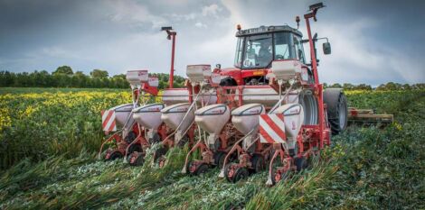 Premier herbicide à base de Triazine