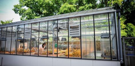 Création des UMT et des RMT