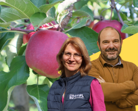 Story® Inored : la success story d’une pomme made in France