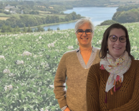 IdEvol : une méthode d’identification variétale des plants de pommes de terre plus flexible et plus sécurisée