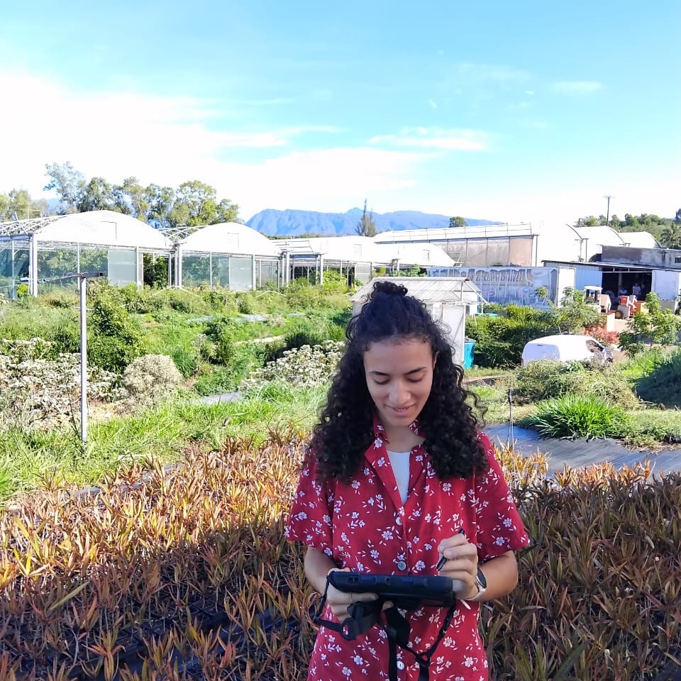 La Réunion veille sur son patrimoine botanique grâce au numérique