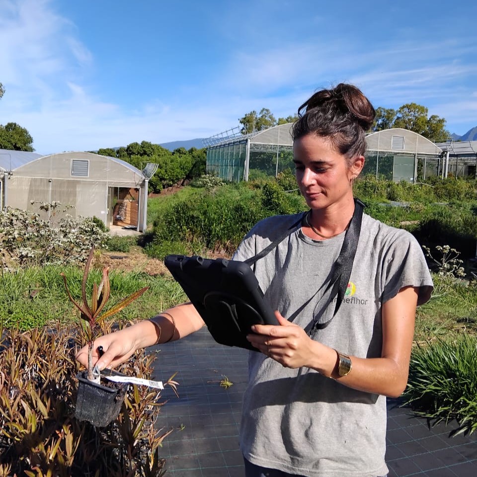 La Réunion veille sur son patrimoine botanique grâce au numérique