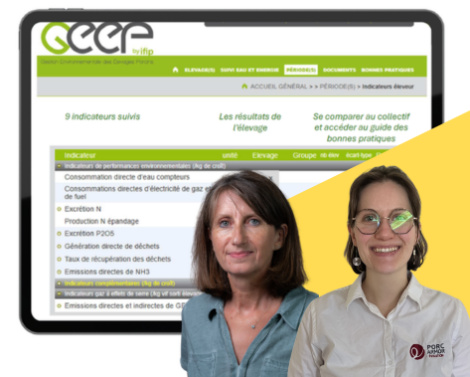 GEEP : pour booster la performance environnementale des élevages porcins