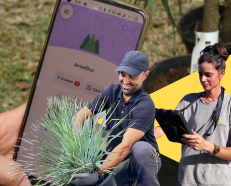 La Réunion veille sur son patrimoine botanique grâce au numérique