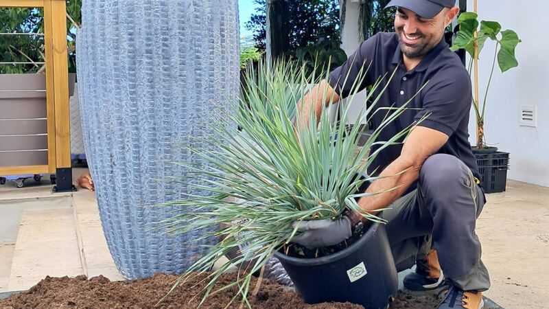 Jocelyn Ceus, pépiniériste et horticulteur à Saint-Joseph, au sud de la Réunion